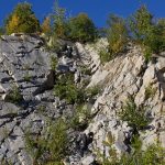 Rocky cliff face with trees and a blue sky.