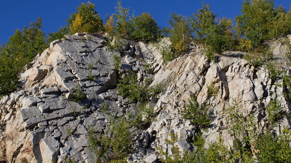 Rocky cliff face with trees and a blue sky.